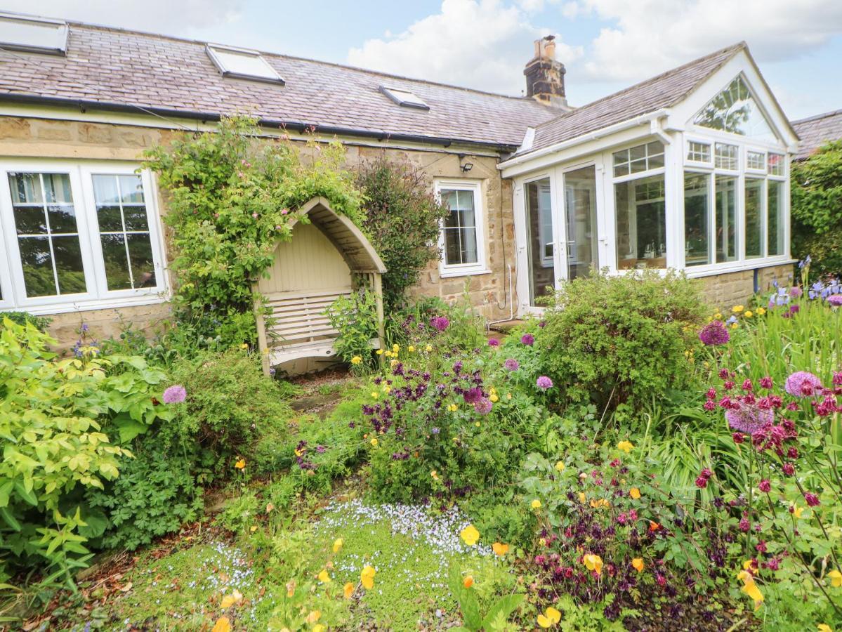 The Cottage, 5 Richley Terrace Newcastle Upon Tyne Kültér fotó